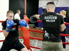 Szeged, Szegedi Tudományegyetem, SZTE, egyetem, Magyar Ökölvívók Szövetsége, együttműködés, Kovács „Koko” István, box, box klub, sport