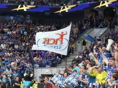 Szeged, OTP Bank Pick Szeged, Paris Saint-Germain, kézilabda, BL, mérkőzés, Pick Aréna, sport