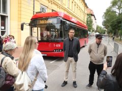 Szeged, Autómentes Nap, Stefánia