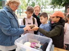 Szeged, Autómentes Nap, Stefánia
