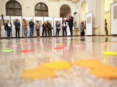 Szeged, Török János, fotókiállítás, megnyitó, Szegedi Tudományegyetem, SZTE, Őszi Kulturális Fesztivál, Rektori