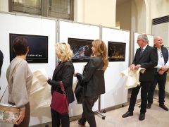 Szeged, Török János, fotókiállítás, megnyitó, Szegedi Tudományegyetem, SZTE, Őszi Kulturális Fesztivál, Rektori