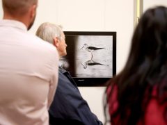 Szeged, Török János, fotókiállítás, megnyitó, Szegedi Tudományegyetem, SZTE, Őszi Kulturális Fesztivál, Rektori