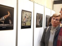 Szeged, Török János, fotókiállítás, megnyitó, Szegedi Tudományegyetem, SZTE, Őszi Kulturális Fesztivál, Rektori