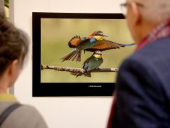 Szeged, Török János, fotókiállítás, megnyitó, Szegedi Tudományegyetem, SZTE, Őszi Kulturális Fesztivál, Rektori