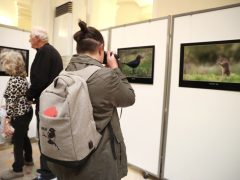 Szeged, Török János, fotókiállítás, megnyitó, Szegedi Tudományegyetem, SZTE, Őszi Kulturális Fesztivál, Rektori