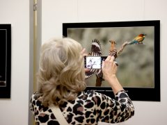 Szeged, Török János, fotókiállítás, megnyitó, Szegedi Tudományegyetem, SZTE, Őszi Kulturális Fesztivál, Rektori