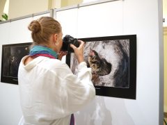 Szeged, Török János, fotókiállítás, megnyitó, Szegedi Tudományegyetem, SZTE, Őszi Kulturális Fesztivál, Rektori
