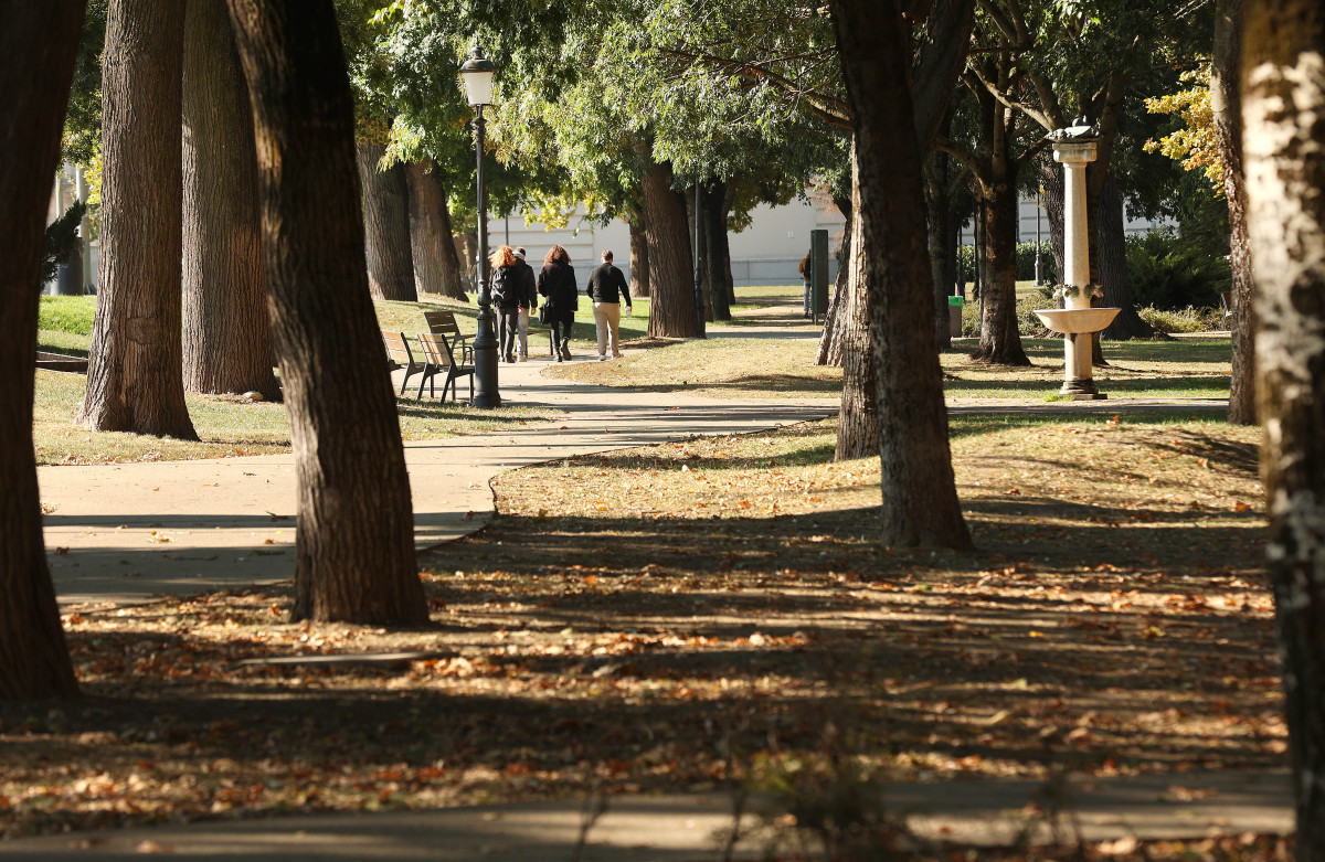 Szeged, napsütés, ősz, időjárás, október, Stefánia