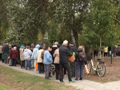 Szeged, őszi virágosztás, Újszeged, Körmendi Zoltán, önkormányzati képviselő, árvácska
