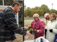 Szeged, őszi virágosztás, Újszeged, Körmendi Zoltán, önkormányzati képviselő, árvácska