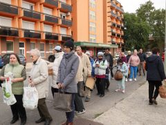 Szeged, őszi virágosztás, Újszeged, Kállay Albert utca, Mihálik Edvin, önkormányzati képviselő, árvácska