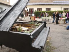 Szeged, Szent József jezsuita templom, jezsuiták, udvar, öko nap, közösségi komposztáló, komposztáló