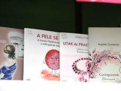 Szeged, Schwimmer-Tóth Tímea, Mályvapont, Mályvavirág Egyesület, civil szervezet, önkéntes vezető