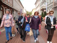 Szeged, mellrák, séta, prevenció, egészség, egészségügy, megelőzés