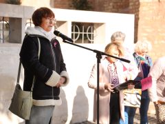 Szeged, mellrák, séta, prevenció, egészség, egészségügy, megelőzés