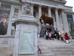 Szeged, Múzeumok Őszi Éjszakája, Móra Ferenc Múzeum, múzeum, kultura