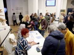 Szeged, Múzeumok Őszi Éjszakája, Móra Ferenc Múzeum, múzeum, kultura