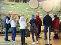 Szeged, Múzeumok Őszi Éjszakája, Móra Ferenc Múzeum, múzeum, kultura