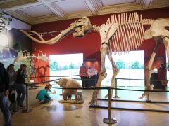 Szeged, Múzeumok Őszi Éjszakája, Móra Ferenc Múzeum, múzeum, kultura