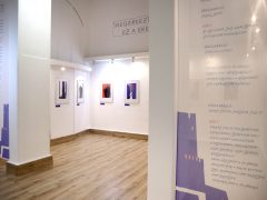 Szeged, Múzeumok Őszi Éjszakája, múzeum, kiállítás, kultura, Kass Galéria