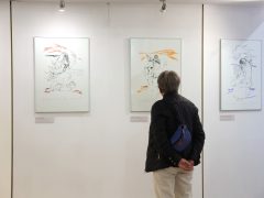 Szeged, Múzeumok Őszi Éjszakája, múzeum, kiállítás, kultura, Kass Galéria