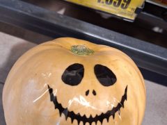 Szeged, halloween, tök, árak, drága