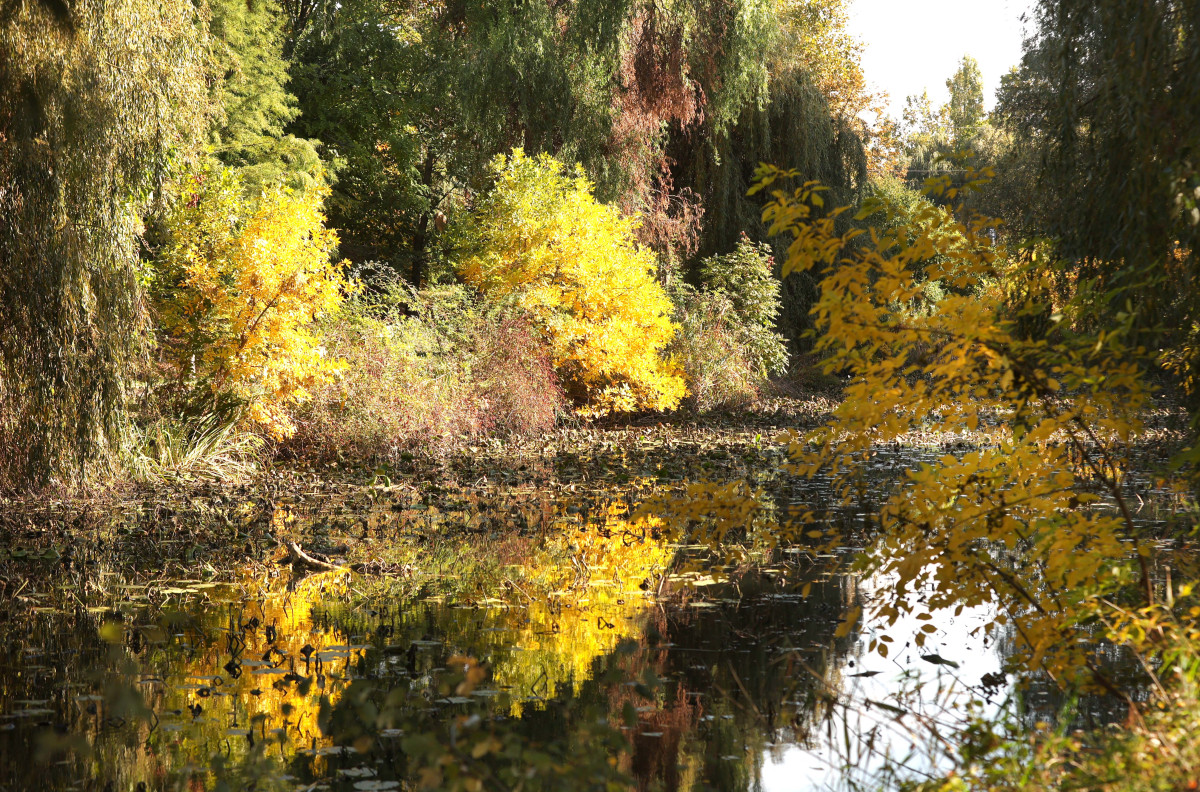 Szeged, ősz, október, időjárás, Újszeged, Holt-Maros, természet