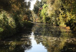 Szeged, ősz, október, időjárás, Újszeged, Holt-Maros, természet