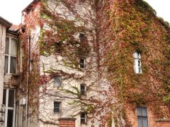 Szeged, ősz, október, időjárás, belváros