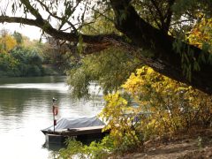 Szeged, ősz, október, időjárás, Tisza