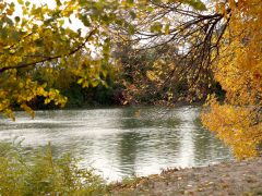 Szeged, ősz, október, időjárás, Tisza