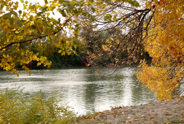 Szeged, ősz, október, időjárás, Tisza