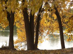 Szeged, ősz, október, időjárás, Tisza