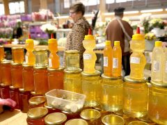 Szeged, méz, Mars téri piac, piac