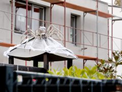 Szeged, halloween, dekorációk, újszeged