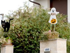 Szeged, halloween, dekorációk, újszeged