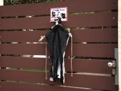 Szeged, halloween, dekorációk, újszeged