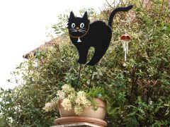 Szeged, halloween, dekorációk, újszeged