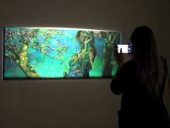 Szeged, Papageorgiu Andrea, Az Édentől keletre, kiállítás, megnyitó, Reök palota, kultura