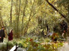 Szeged, Tök Jó Nap, tök, tökfaragás, ősz, október, természet, Füvészkert