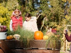 Szeged, Tök Jó Nap, tök, tökfaragás, ősz, október, természet, Füvészkert