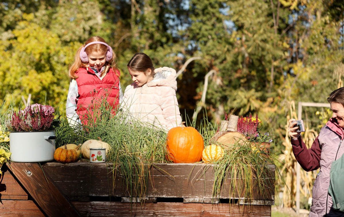 Szeged, Tök Jó Nap, tök, tökfaragás, ősz, október, természet, Füvészkert
