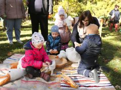 Szeged, Tök Jó Nap, tök, tökfaragás, ősz, október, természet, Füvészkert