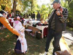 Szeged, Tök Jó Nap, tök, tökfaragás, ősz, október, természet, Füvészkert