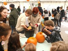 Szeged, Tök Jó Nap, tök, tökfaragás, ősz, október, természet, Füvészkert