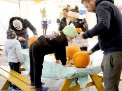 Szeged, Tök Jó Nap, tök, tökfaragás, ősz, október, természet, Füvészkert