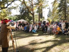 Szeged, Tök Jó Nap, tök, tökfaragás, ősz, október, természet, Füvészkert