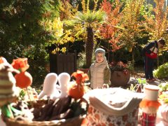 Szeged, Tök Jó Nap, tök, tökfaragás, ősz, október, természet, Füvészkert