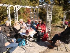 Szeged, Tök Jó Nap, tök, tökfaragás, ősz, október, természet, Füvészkert